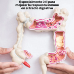 🐮✨MIRACLE MOO🐮✨Suplemento Calastro Bovino 🙌💖.